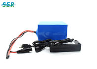 Customized Portable LiFePO4 Lithium Battery 24V OEM For UPS / Boat Motor / Automobile
