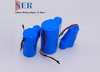 ER14250+1520 Li SOCL2 Battery With Hybrid Pulse Capacitor 3.6V Lithium Supercapacitor Battery Pack