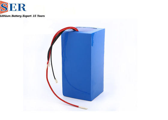 12V 24V LiFePO4 Batteries